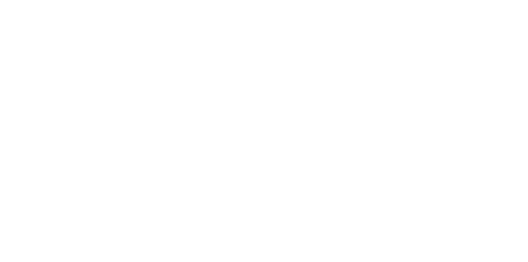 XL2 Logo