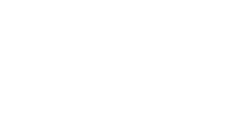 Audi Logo